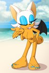 5_toes anthro beach big_breasts breasts feet female genitals humanoid_feet nipples plantigrade pussy solo toes foot_ninja15 sega sonic_the_hedgehog_(series) rouge_the_bat bat mammal 2:3 absurd_res hi_res