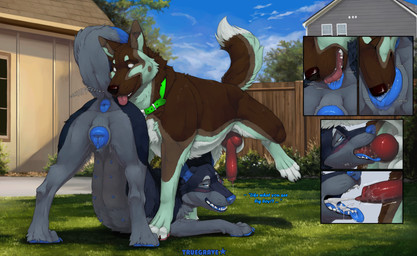 anal anatomically_correct anatomically_correct_genitalia anatomically_correct_penis anatomically_correct_vulva animal_genitalia animal_penis animal_vulva anus ass_up blue_anus blue_nipples blue_nose blue_pawpads blue_vulva bodily_fluids brown_body brown_fur butt butt_sniffing canine_genitalia canine_penis canine_vulva collar cum cum_in_mouth cum_inside cumshot cunnilingus dialogue dripping duo ejaculation erection fellatio female female_feral female_penetrated feral feral_on_feral feral_penetrated feral_penetrating feral_penetrating_feral fur genital_fluids genitals grass green_collar hiked_leg knot knotted_penis male male/female male_feral male_penetrating male_penetrating_female multi_nipple nipples on_grass on_ground oral outside pawpads penetration penile penis plant precum precum_drip presenting presenting_hindquarters raised_leg raised_tail red_penis rimming seductive servicing_from_below sex sniffing tail talking_feral text vaginal vulva yard truegrave9 rodi sheppermint canid canine canis domestic_dog german_shepherd herding_dog mammal pastoral_dog english_text hi_res