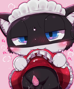 animal_genitalia animal_penis anthro balls biped black_body black_fur blue_eyes blush blush_lines bodily_fluids breath clothed clothed_anthro clothed_male clothing clothing_lift crossdressing cum dress dress_lift feline_genitalia feline_penis frilly frilly_clothing frilly_dress front_view fur genital_fluids genitals gloves_(marking) half-closed_eyes inner_ear_fluff leaking_cum looking_at_viewer maid_headdress maid_uniform male male_anthro markings mask multicolored_body multicolored_fur narrowed_eyes onomatopoeia partially_clothed penile_spines penis plantigrade presenting_to_viewer shortstack shortstack_male slim slim_anthro slim_male solo sound_effects tail tapering_penis text tuft two_tone_body two_tone_fur uniform white_body white_fur badwingm atlus megami_tensei persona_(series) persona_5 sega morgana_(persona) domestic_cat felid feline felis mammal tuxedo_cat 2023 digital_drawing_(artwork) digital_media_(artwork) hi_res japanese_text shaded soft_shading