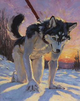all_fours anthro bdsm black_body black_fur blue_eyes collar fur leash leashed_collar looking_at_viewer male nude_anthro nude_male outside petplay roleplay snow solo sunset tail white_body white_fur winter creeps canid canine canis domestic_dog husky mammal nordic_sled_dog spitz absurd_res hi_res oil_painting_(artwork) painting_(artwork) traditional_media_(artwork) traditional_painting_(artwork)