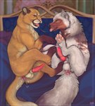 after_anal after_anal_penetration after_kiss after_sex animal_genitalia animal_penis balls bed bedroom bodily_fluids canine_genitalia canine_penis cum cum_from_ass cum_in_ass cum_inside cum_on_own_penis cum_on_penis cum_on_self cum_on_sheets cum_on_tail dr_davian_doxx duo erection feet feline_genitalia feline_penis feral feral_on_feral foot_on_balls furniture genital_fluids genitals inside interspecies kissing knot knot_root knotted_penis leaking leaking_anus leaking_cum leaking_precum male male/male on_bed open_mouth open_smile penis precum saliva saliva_string smile tail tongue tongue_out firefangdragon skan_drake arabian_wolf canid canine canis cougar felid feline mammal wolf absurd_res hi_res