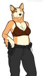 anthro australian belly bra breast_squish breasts clothed clothing duty_belt female glock_17 gun hand_on_hip hand_on_weapon handgun looking_at_viewer mature_female medium_breasts navel no_shirt partially_clothed partially_clothed_anthro partially_clothed_female pepper_spray pistol pistol_holster ranged_weapon solo squish tactical_belt tactical_gear tactical_pants tight_bra underwear weapon rebeldragon101 bluey_(series) chilli_heeler australian_cattle_dog canid canine canis cattledog domestic_dog herding_dog mammal pastoral_dog hi_res