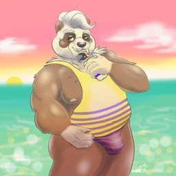 anthro beach belly black_nose brown_body brown_fur bulge clothed clothing fur humanoid_hands male moobs nipples outside overweight overweight_anthro overweight_male seaside shirt solo sun swimwear tank_top topwear water white_body white_fur thetirrey bear giant_panda mammal 1:1 2020 hi_res