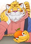 anthro biped clothing cute_fangs fangs food fruit hoodie humanoid_hands kemono orange_(fruit) pink_nose plant solo teeth topwear ryuta-h felid mammal pantherine tiger 2022 hi_res portrait