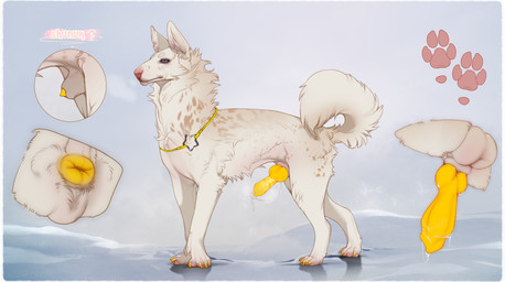 animal_genitalia animal_penis anus balls canine_genitalia canine_penis erection feral fur genitals knot male penis quadruped sheath solo tail yellow_anus yellow_penis shunuk kaz_archer canid canine canis coydog hybrid mammal absurd_res hi_res model_sheet