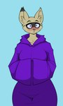 anthro blue_eyes blush bodily_fluids clothing facial_markings female fur head_markings markings mask_(marking) nervous_sweat purple_clothing robe solo standing sweat sweatdrop tan_body tan_fur danonymous domino_(devildjmachine) canid canine fennec_fox fox mammal true_fox 3:5