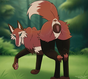 animal_genitalia animal_vulva anus bedroom_eyes black_clothing black_legwear black_stockings black_vulva bouncing_butt brown_body brown_fur butt canine_genitalia canine_vulva cheek_tuft clothing facial_tuft female feral forest forest_background fur genitals gloves_(marking) green_eyes legwear looking_at_viewer looking_back looking_back_at_viewer markings multicolored_body multicolored_fur narrowed_eyes nature nature_background orange_body orange_fur outside pawpads paws pink_pawpads plant quadruped seductive shaking_butt solo stockings tail tail_anus tree tuft vulva white_body white_fur digitoxici nora_(digitoxici) canid canine fox mammal 2023 animated digital_media_(artwork)
