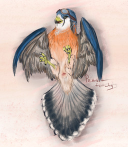 anatomically_correct anatomically_correct_cloaca anatomically_correct_feet anatomically_correct_genitalia animal_genitalia avian_butt avian_feet beak black_body black_claws black_feathers blue_body blue_feathers blue_fur bodily_fluids cheek_tuft claws cloaca cloaca_juice cloacal eyewear facial_tuft feathers female feral fluffy fluffy_tail fur genital_fluids genitals glasses green_eyes grey_body grey_feathers grey_fur happy jewelry looking_at_viewer looking_pleasured lying neck_tuft necklace open_beak open_mouth orange_body orange_feathers orange_fur pink_cloaca solo tail tail_feathers triangular_cloaca tuft white_body white_feathers white_fur wings yellow_beak yellow_claws yellow_legs peanut_for_jay leela_(eagle683) avian bird falcon falconid kestrel spirit absurd_res detailed hi_res