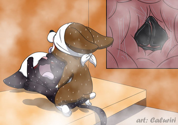 animal_genitalia anus bench blindfold blush bodily_fluids breath canine_genitalia duo ears_down ejaculation female female/female feral genital_fluids genitals grinding hand_on_face obscured_eyes open_mouth orgasm panting penetration pivoted_ears raised_tail sauna spread_legs spreading steam sweat tail tongue tongue_out vaginal vaginal_fluids vaginal_penetration vaginal_squirting vulva_in_vagina caluriri hasbro littlest_pet_shop littlest_pet_shop:_a_world_of_our_own jade_catkin roxie_mcterrier bombay_cat boston_terrier canid canine canis domestic_cat domestic_dog felid feline felis hunting_dog mammal molosser small_molosser terrier toy_dog
