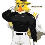 anthro beak belt black_clothing black_topwear bottomwear clothed clothing feathers fully_clothed gloves handwear hat headgear headwear looking_at_viewer male mascot monotone_beak monotone_clothing monotone_gloves monotone_handwear muscular muscular_anthro muscular_male orange_beak simple_background solo topwear white_background white_clothing white_gloves white_handwear yellow_body yellow_feathers chikuwabu fukuoka_softbank_hawks nippon_professional_baseball harry_hawk accipitrid accipitriform avian bird 1:1 character_name