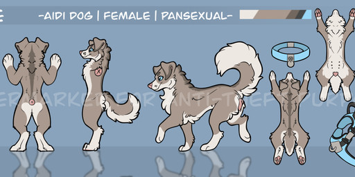 anatomically_correct anatomically_correct_genitalia anatomically_correct_vulva animal_genitalia animal_vulva anthro blue_background blue_eyes brown_body brown_fur canine_genitalia canine_vulva collar curled_tail female female_anthro female_feral feral floppy_ears fur genitals grey_body harness leg_markings markings multi_nipple multicolored_body multicolored_fur multiple_poses nipples pawpads paws pose simple_background smile socks_(marking) tail text underbelly vulva whisker_spots white_markings symrea aidi_dog canid canine canis collie domestic_dog herding_dog livestock_guardian_dog mammal molosser mountain_dog pastoral_dog sheepdog character_request english_text model_sheet