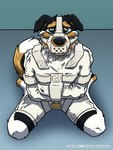 anthro bdsm big_pupils black_body black_fur black_snout bondage bound chastity_device dilated_pupils floppy_ears fur high-angle_view kneeling lock_symbol looking_at_viewer male muzzle_(object) muzzled pleading_eyes pupils restraints simple_background solo straitjacket tail tan_body tan_fur text white_body white_fur kemira pinereese border_collie canid canine canis collie domestic_dog herding_dog mammal pastoral_dog sheepdog 2021 3:4 artist_name hi_res url