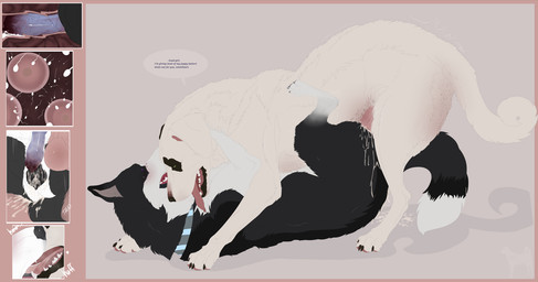 animal_genitalia animal_penis animal_vulva bodily_fluids canine_genitalia canine_penis canine_vulva cum cum_in_vagina cum_inside duo ejaculation erection female female_penetrated feral feral_on_feral feral_penetrated feral_penetrating feral_penetrating_feral from_front_position genital_fluids genitals impregnation internal internal_vaginal intraspecies lying male male/female male_penetrating male_penetrating_female missionary_position on_back ovum penetration penile penile_penetration penis penis_in_vagina pull_out sex simple_background sperm_cell vaginal vaginal_penetration vulva jenklinbullterrier_(artist) jenklin_(character) moon_(selenianskye) border_collie canid canine canis collie domestic_dog herding_dog kangal livestock_guardian_dog mammal molosser mountain_dog pastoral_dog sheepdog 2025