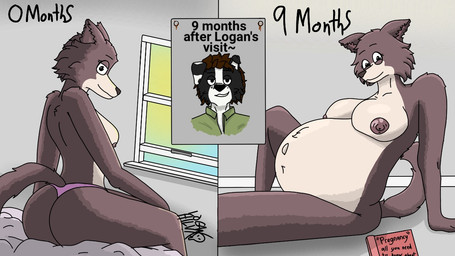 anthro big_breasts big_butt breasts butt duo female male male/female nipples nude pregnant pregnant_female smile tail text thick_thighs loganhilux34 beastars juno_(beastars) logan_(loganhilux34) canid canine canis mammal wolf 16:9 english_text widescreen