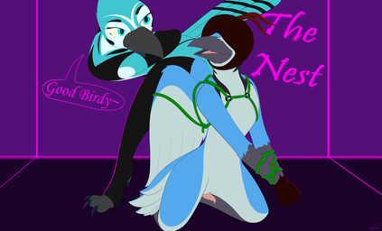 anthro bdsm blindfold bondage bound clothing dominant falconry_hood feet female genitals harness hood legwear male male/female penis saphiretail seductive submissive submissive_male talons tapering_penis thigh_highs toes rakaw saphire_(sporefox) avian absurd_res hi_res