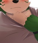 anthro blush bodily_fluids clothing embarrassed exposing_chest fur green_body green_fur male shirt slightly_chubby solo sweat t-shirt topwear wristband zuboboz lifewonders live_a_hero mokdai canid canine canis domestic_dog mammal hi_res