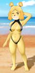 5_fingers anthro big_breasts bikini biped black_bikini black_clothing black_nose black_swimwear blush breasts clothed clothing eyebrows eyelashes female fingers front_view fur hair multicolored_body multicolored_fur navel outside seaside smile solo standing swimwear tight_clothing turtleneck_swimsuit two-piece_swimsuit water yellow_body yellow_fur buffbumblebee animal_crossing nintendo isabelle_(animal_crossing) canid canine canis domestic_dog mammal shih_tzu toy_dog 2019 absurd_res digital_drawing_(artwork) digital_media_(artwork) hi_res