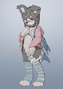 4_toes anthro backpack balls blue_eyes clothed clothing collar feet flaccid floppy_ears fluffy footwear foreskin front_view fur genitals male multicolored_body multicolored_fur penis shota socks solo standing toes two_tone_body two_tone_fur unretracted_foreskin white_balls white_penis young young_anthro young_male makioraku misha_makioraku canid canine canis mammal absurd_res full-length_portrait hi_res portrait