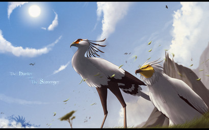 avian_feet beak black_bars day duo feathered_wings feathers feet feral grass outside plant standing sun wings sinistereternity asar_(sinistereternity) jaeger_(sinistereternity) accipitrid accipitriform avian bird egyptian_vulture old_world_vulture secretary_bird vulture 16:10 2012 digital_media_(artwork) widescreen