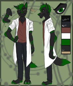 4_fingers 4_toes anthro black_bottomwear black_clothing black_jeans black_pants bottomwear brown_clothing brown_shirt brown_topwear clothing coat denim denim_bottomwear denim_clothing eyebrows feet fingers frown fur fur_markings green_nose grumpy jeans lab_coat male markings pants scar scientist scowl scrawny shirt side_view skinny solo tail toes topwear xx-heartattack giano_"raven"_blakwulf canid canine canis mammal wolf model_sheet