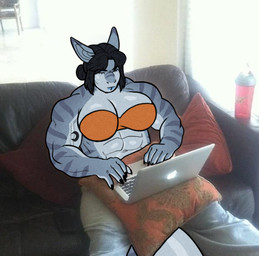 abs big_breasts black_hair blue_body blue_skin bottle breasts computer container electronics female furniture hair laptop muscular muscular_female photo_background pillow sofa solo water_bottle thatsexdog mane_(pancake) aquatic fish requiem_shark shark tiger_shark meme mixed_media photography_(artwork) gynomorph_(lore)