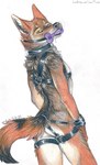 anthro black_collar bodily_fluids bondage_gear bone_gag brown_body brown_fur cheek_tuft chest_tuft collar cuff_(restraint) dipstick_tail dog_toy facial_tuft fur gag gagged inner_ear_fluff looking_at_viewer looking_back looking_back_at_viewer male markings multicolored_body multicolored_fur neck_tuft nude orange_body orange_fur pointy_ears prick_ears restraints saliva saliva_string simple_background solo tail tail_markings text thigh_cuffs tuft two_tone_body two_tone_fur whiskers white_background wrist_cuffs toots kojote canid canine canis coyote mammal 2023 colored hi_res portrait three-quarter_portrait traditional_media_(artwork) url