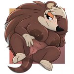 anthro big_breasts breasts brown_body brown_fur brown_nipples feet female freckles fur genitals looking_at_viewer lying nipples nude nude_female on_back presenting presenting_pussy pussy soles solo toes noodlestoat animal_crossing nintendo sable_able eulipotyphlan hedgehog mammal 1:1 2024 hi_res