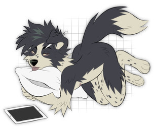 anthro arm_tuft black_nose blep cheek_tuft elbow_tuft facial_tuft fur glistening glistening_eyes grey_body grey_eyes grey_fur grey_hair hair hug hugging_object hugging_pillow leg_tuft looking_at_viewer male mouth_closed narrowed_eyes nude pattern_background pillow simple_background solo spotted_legs tablet_computer tongue tongue_out tuft white_body white_fur princelykaden kaden_(princelykaden) border_collie canid canine canis collie domestic_dog herding_dog mammal pastoral_dog sheepdog hi_res