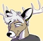 anthro antlers brown_body brown_fur closed_smile clothed clothing ear_piercing fur grey_clothing grey_topwear hair horn looking_at_viewer male mouth_closed narrowed_eyes piercing smile solo topwear white_antlers white_body white_fur white_hair bucklebunny deer mammal