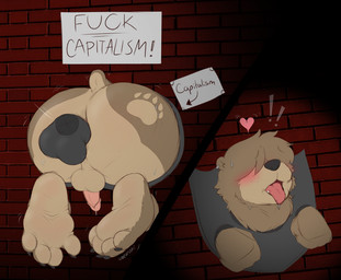 4_toes ahegao anal anal_penetration anthro anus backsack balls big_butt blush bodily_fluids brick brick_wall butt dripping ear_piercing ear_ring feet from_behind_position genital_fluids genitals hair hair_over_eyes heart_beating heart_symbol leaking_precum looking_pleasured male male/male paws penetration penis piercing politics precum precum_drip profanity public public_sex restraints ring_piercing sex sign stocks stuck text through_wall toes trophy_head wall_(structure) teddypaws teddy_(teddypaws) bear mammal english_text hi_res