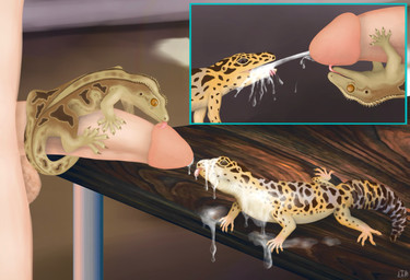 ambiguous_gender balls bestiality bodily_fluids cum cum_drip cum_in_mouth cum_inside cum_on_face cumshot detailed_background dripping ejaculation extreme_size_difference faceless_character faceless_male fellatio female feral genital_fluids genitals group human_on_feral humanoid_genitalia humanoid_penis inside interspecies larger_human larger_male licking male male/ambiguous male/female male/male male_on_feral offscreen_male oral outercourse penile penis penis_lick sex size_difference smaller_feral tongue trio lusttheorydreams crested_gecko eublepharid gecko human leopard_gecko lizard mammal reptile scalie absurd_res hi_res