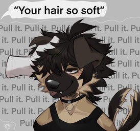 ambiguous_gender anthro bdsm black_hair blep cheek_tuft choker clothing disembodied_hand duo facial_tuft female floppy_ears hair hair_over_eye headpat jewelry necklace petplay roleplay shirt short_hair smile submissive submissive_anthro submissive_female tail tail_motion tailwag tank_top text tongue tongue_out topwear tuft excaliburwolf mya_(excaliburwolf) puppygirl_(excaliburwolf) canid canine canis domestic_dog german_shepherd herding_dog mammal pastoral_dog english_text hi_res