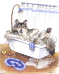 ambiguous_gender anthro bath bathing bathtub biped claw_foot_bathtub digitigrade inside looking_at_viewer lying nude pawpads rubber_duck shower solo tail water wet megan_giles canid canine canis mammal wolf 2002