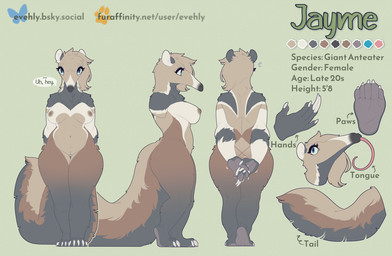 anthro areola big_tail breasts claws female fluffy fluffy_tail genitals hands_behind_back long_claws long_tongue nipples nude solo tail text tongue vulva wide_hips evehly jayme anteater giant_anteater mammal pilosan xenarthran english_text model_sheet url