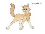 ambiguous_gender feral fur simple_background solo tan_body tan_fur white_background barkfur_(artist) warriors_(book_series) fan_character domestic_cat felid feline felis mammal 2023 4:3 full-length_portrait hi_res model_sheet portrait male_(lore)