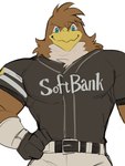 anthro baseball baseball_uniform beak belt biceps blue_eyes bottomwear brown_body clothing feathers gloves handwear male muscular muscular_anthro muscular_male pants pecs shirt solo sportswear topwear uniform tos_tos_f_ski fukuoka_softbank_hawks nippon_professional_baseball herculy_hawk accipitrid accipitriform avian bird 3:4 hi_res