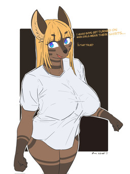 anthro big_breasts bottomless breasts brown_body brown_fur clothed clothing female fur huge_breasts shirt shirt_only solo stripes topwear topwear_only zincx canid canine mammal hi_res