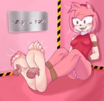 5_toes barefoot feet female feral foot_fetish foot_focus foot_lick foot_play fur humanoid_feet licking pink_body pink_fur plantigrade restraints soles solo stocks tickling tickling_feet toes tongue sega sonic_the_hedgehog_(series) amy_rose eulipotyphlan hedgehog humanoid mammal