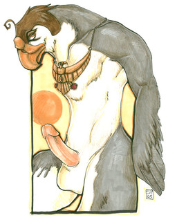 anthro beak brown_eyes egyptian erection feathers genitals humanoid_genitalia humanoid_penis male penis solo sun studpup egyptian_mythology middle_eastern_mythology mythology horus avian bird deity