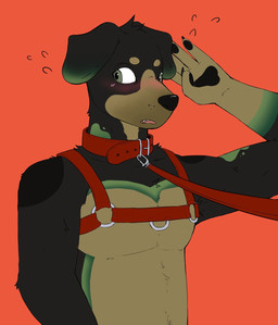 anthro blush collar countershade_accent countryside gesture harness leash leash_pull leashed_collar male new_zealand solo brick_(character) canid canine canis domestic_dog herding_dog huntaway mammal pastoral_dog hi_res