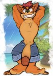 beach big_penis border bottomwear clothing feet genitals hands_behind_head humanoid_feet humanoid_genitalia humanoid_penis male muscular muscular_male outside penis plantigrade shorts smile solo white_border sebafox activision crash_bandicoot_(series) crash_bandicoot bandicoot mammal marsupial hi_res