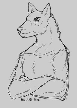 anthro grumpy looking_at_viewer male solo hallamo-h canid canine canis mammal wolf hi_res line_art monochrome