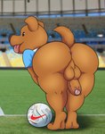 anthro anus ball balls bent_over big_butt brown_body brown_fur butt canid canine canis clothing digital_media_(artwork) domestic_dog fifa foreskin fur genitals hi_res kiffy_(artist) looking_at_viewer looking_back male mammal penis penis_tuck perineum pibe_(copa_america) presenting presenting_hindquarters shaded shirt smile soccer soccer_ball solo sport stadium t-shirt thick_thighs tongue tongue_out topwear