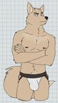 amber_eyes anthro biped black_nose body_hair brown_eyebrows bulge checkered checkered_background claws clothed clothing crossed_arms eyebrows fluffy fluffy_tail fur happy_trail inner_ear_fluff jockstrap jockstrap_only looking_at_viewer male male_anthro multicolored_body multicolored_clothing multicolored_underwear muscular muscular_anthro muscular_male navel partially_clothed partially_clothed_male pattern_background raised_tail simple_background slim solo standing tail tan_body tan_fur tan_inner_ear tan_inner_ear_fluff topless tuft underwear underwear_only whiskers white_background white_claws white_clothing white_jockstrap white_underwear unsafescapewolf echo_(series) echo_project the_smoke_room tsela_begay canid canine fennec_fox fox mammal true_fox 2024 digital_drawing_(artwork) digital_media_(artwork) hi_res portrait three-quarter_portrait