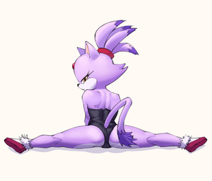 anthro ballerina ballet black_clothing black_leotard camel_toe clothed clothing eyes_closed female flexible footwear forehead_gem gem gloves hair handwear leotard looking_back ponytail pose purple_body shoes simple_background sitting slippers socks solo splits spread_legs spreading tail white_background yellow_eyes frebtto sega sonic_the_hedgehog_(series) blaze_the_cat domestic_cat felid feline felis mammal hi_res monochrome