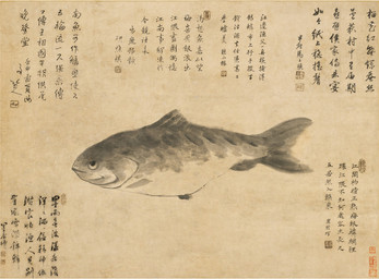 ambiguous_feral ambiguous_gender dorsal_fin feral fin gills looking_up mouth_closed scales side_view simple_background solo tail tail_fin text bada_shanren aquatic fish 1692 17th_century ancient_art chinese_text hi_res monochrome painting_(artwork) traditional_media_(artwork) traditional_painting_(artwork) translation_request
