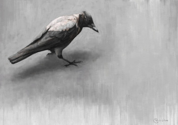 beak biped bipedal_feral black_beak black_body black_feathers feathers feral grey_background simple_background solo standing white_back renum63 avian bird corvid corvus_(genus) crow hooded_crow oscine passerine 2014 artrage_(artwork) detailed digital_media_(artwork)