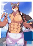 abs anthro beach beverage bottomwear brown_body brown_fur clothing cooler countershading fur grin looking_at_viewer male muscular muscular_anthro muscular_male one_eye_closed partially_submerged pecs seaside shirtless shorts smile solo swimwear water wink y_yama8642 lifewonders live_a_hero ramune pubraseer canid canine canis domestic_dog mammal hi_res