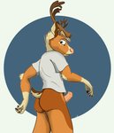 animal_genitalia animal_penis anthro bottomless bottomless_male clothed clothing equine_genitalia equine_penis genitals male penis solo surprise surprised_expression hemlock_bou deer mammal new_world_deer reindeer absurd_res hi_res