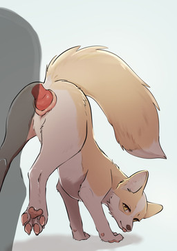 anatomically_correct anatomically_correct_genitalia anatomically_correct_vulva animal_genitalia animal_penis animal_vulva ass_to_ass blep brown_nose canine_genitalia canine_penis canine_vulva dipstick_tail duo erection eyelashes female female_penetrated feral feral_on_feral feral_penetrated feral_penetrating feral_penetrating_feral fluffy fluffy_tail fur genitals kemono knot knot_hanging knot_root knotted_penis knotting legs_in_air looking_at_viewer looking_back looking_back_at_viewer male male/female male_penetrating male_penetrating_female markings orange_body orange_ears orange_eyes orange_fur pawpads penetration penile penile_penetration penis penis_in_vagina pink_pawpads pink_vulva pointy_ears prick_ears quadruped raised_tail red_penis reverse_doggystyle sex silhouette simple_background size_difference smaller_penetrated solo_focus stretched_vagina tail tail_markings tan_body tan_fur tan_tail_tip three-quarter_view tongue tongue_out vaginal vaginal_knotting vaginal_penetration vulva white_background momou canid canine canis domestic_dog mammal 2025 absurd_res digital_media_(artwork) hi_res